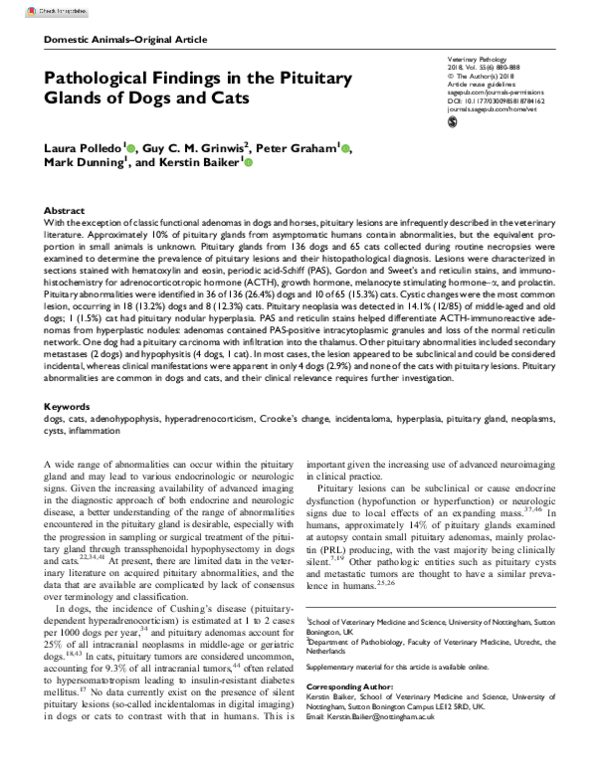 (PDF) Pathological Findings in the Pituitary Glands of Dogs and Cats