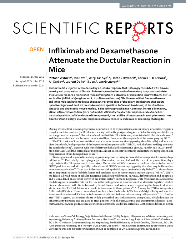 (PDF) Infliximab and Dexamethasone Attenuate the Ductular Reaction in Mice