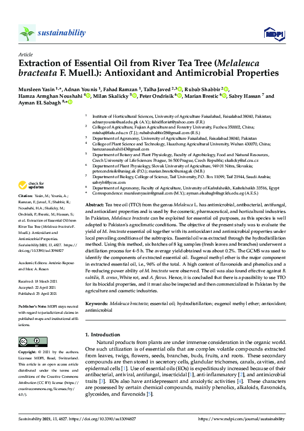 (PDF) Extraction of Essential Oil from River Tea Tree (Melaleuca ...