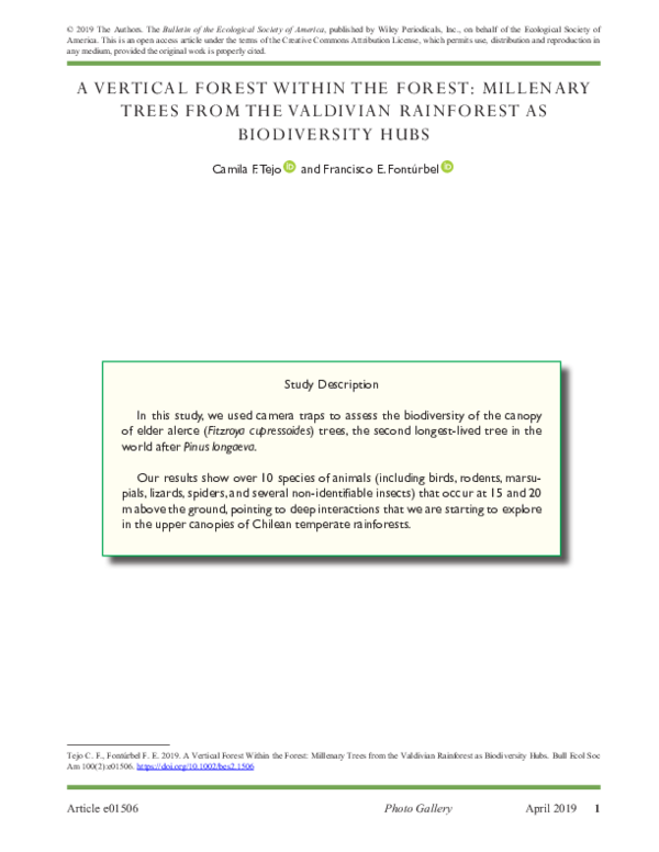 (PDF) A Vertical Forest Within the Forest: Millenary Trees from the ...