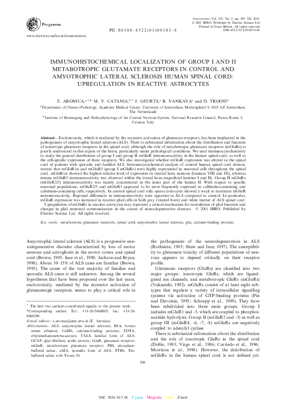 (PDF) Immunohistochemical localization of group I and II metabotropic ...