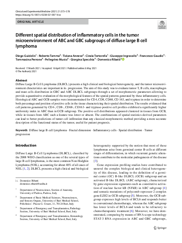 (PDF) Different spatial distribution of inflammatory cells in the tumor ...