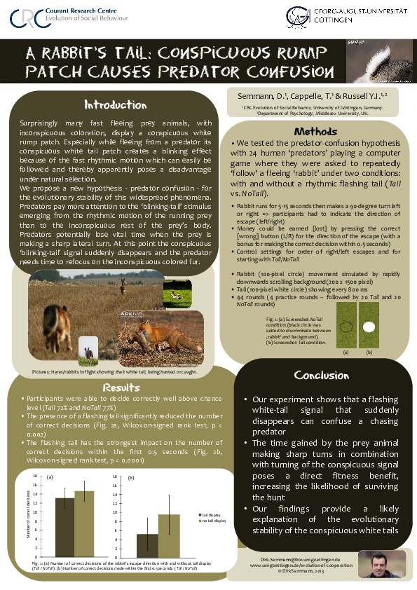 (PDF) A rabbit’s tail: conspicuous rump patch causes predator confusion