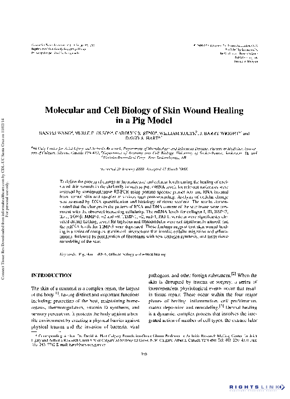(PDF) Molecular and Cell Biology of Skin Wound Healing in a Pig Model