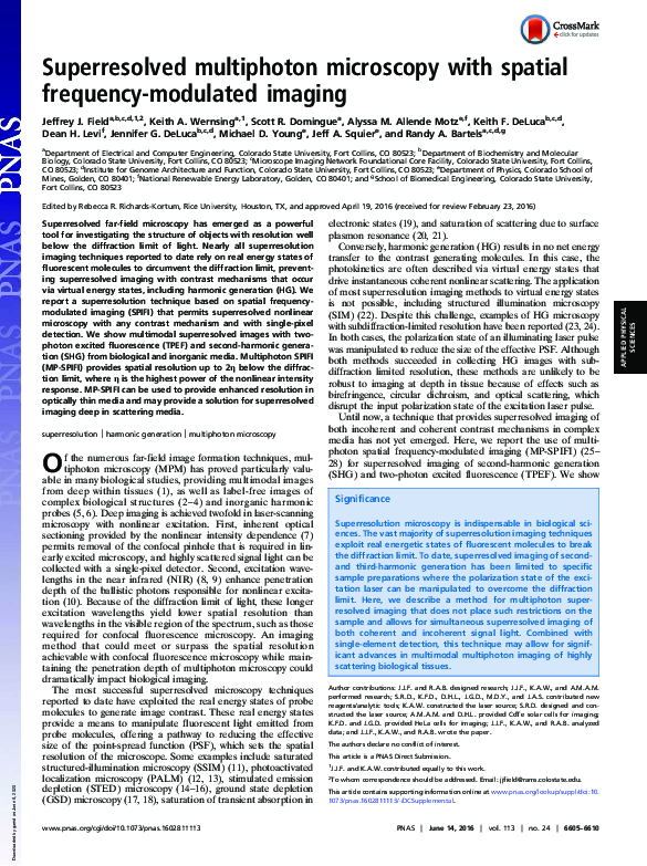(PDF) Superresolved multiphoton microscopy with spatial frequency ...