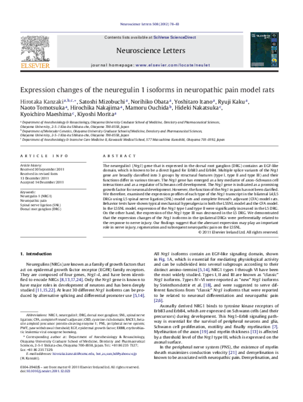 (PDF) Expression changes of the neuregulin 1 isoforms in neuropathic ...