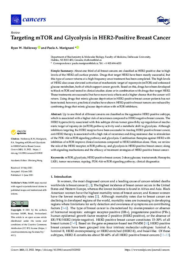 (PDF) Targeting mTOR and Glycolysis in HER2-Positive Breast Cancer