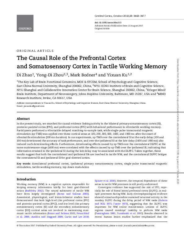 (PDF) The Causal Role of the Prefrontal Cortex and Somatosensory Cortex ...