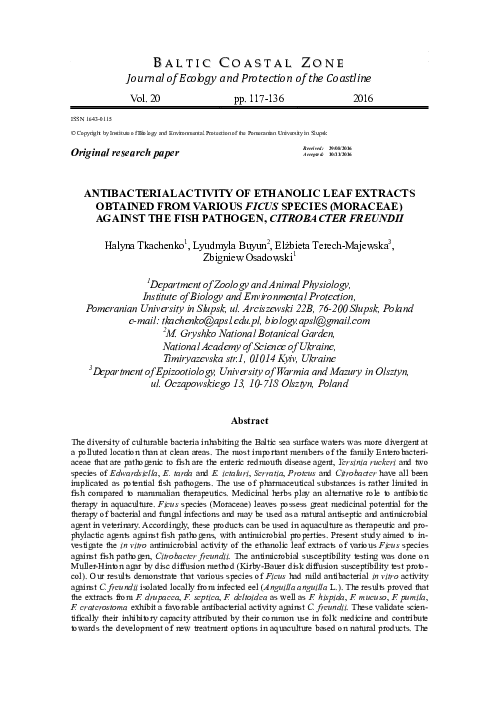(PDF) Antibacterial activity of ethanolic leaf extracts obtained from ...
