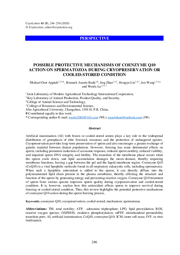 (PDF) Possible Protective Mechanisms of Coenzyme Q10 Action on ...