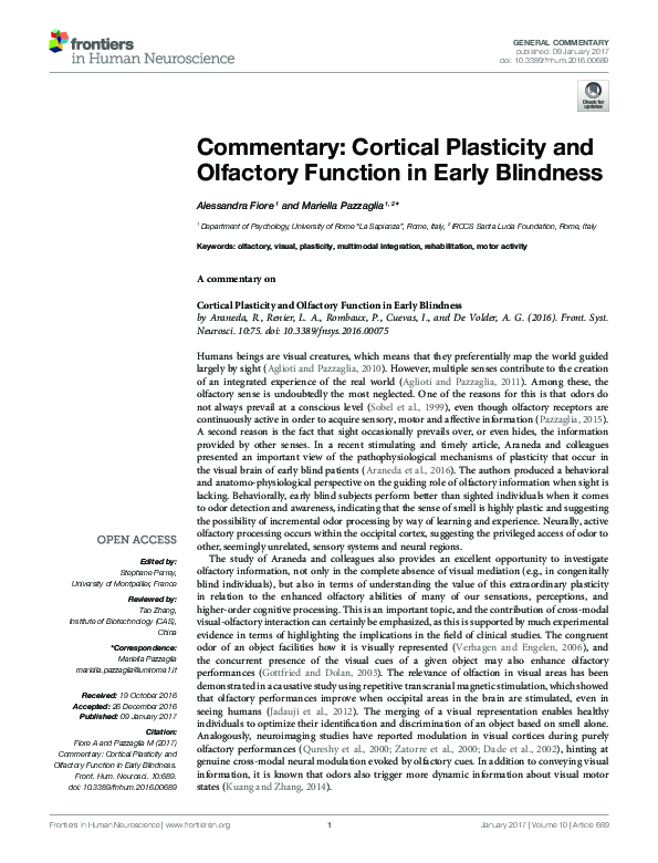 (PDF) Commentary: Cortical Plasticity and Olfactory Function in Early ...