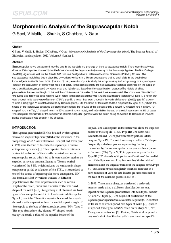 (PDF) Morphometric Analysis of the Suprascapular Notch