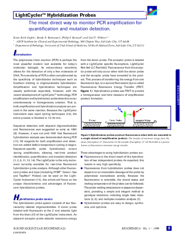 (PDF) The most direct way to monitor PCR amplification for ...