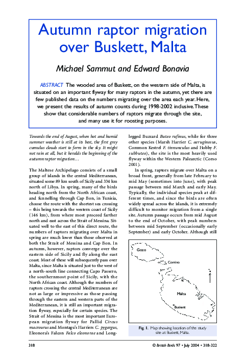 (PDF) Autumn raptor migration over Buskett, Malta