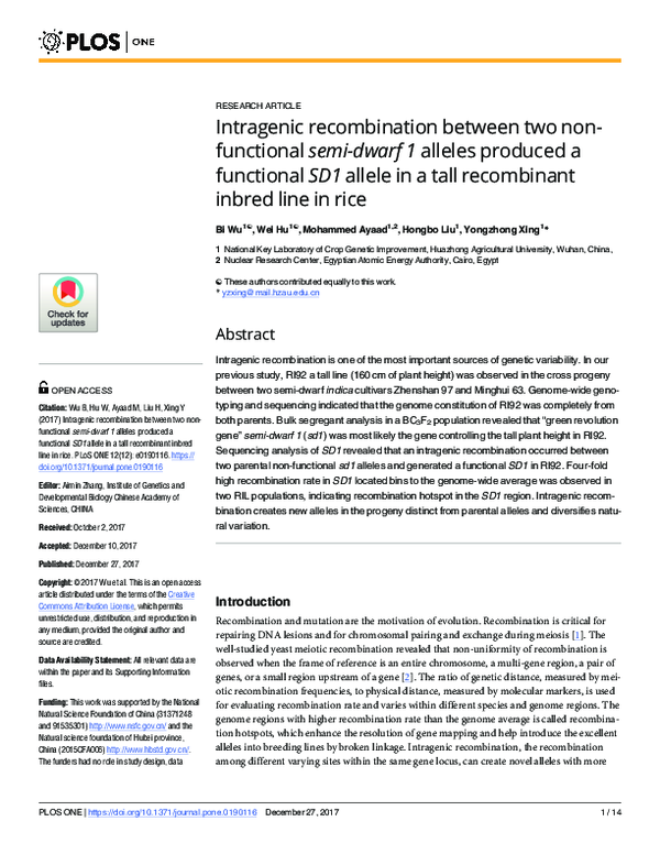 (PDF) Intragenic recombination between two non-functional semi-dwarf 1 ...