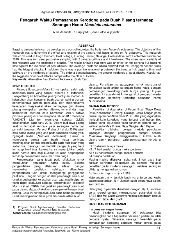 Pengaruh Waktu Pemasangan Kerodong pada Buah Pisang terhadap Serangan Hama Nacoleia Octasema