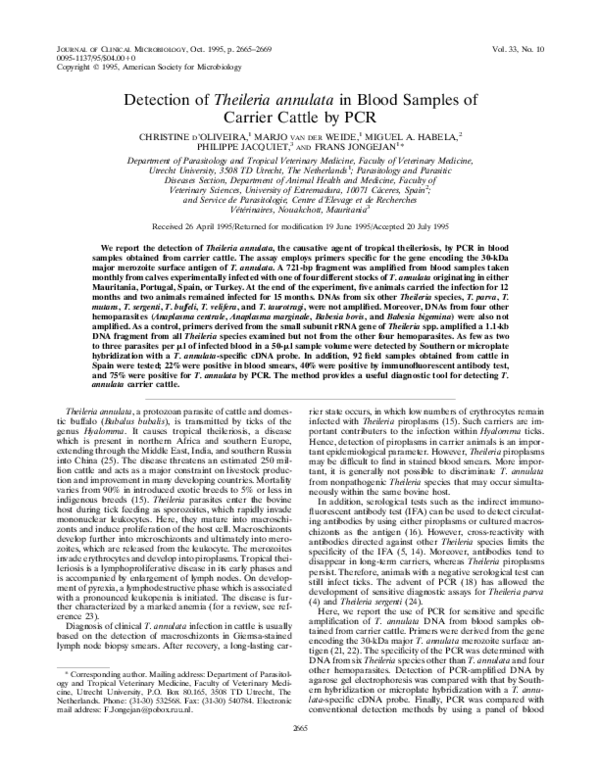 (PDF) Detection of Theileria annulata in blood samples of carrier ...