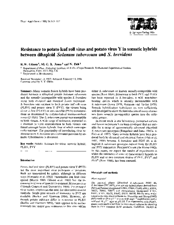 (PDF) Resistance to potato leaf roll virus and potato virus Y in