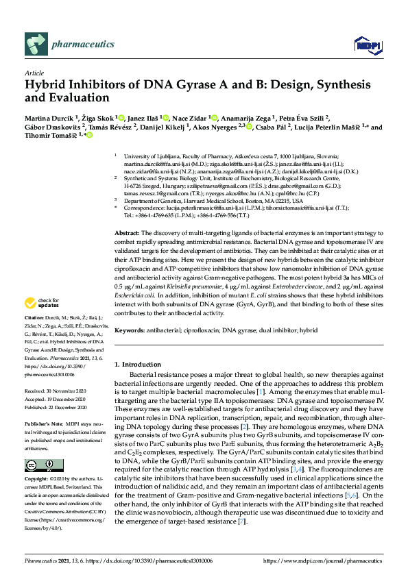 (PDF) Hybrid Inhibitors of DNA Gyrase A and B: Design, Synthesis and ...