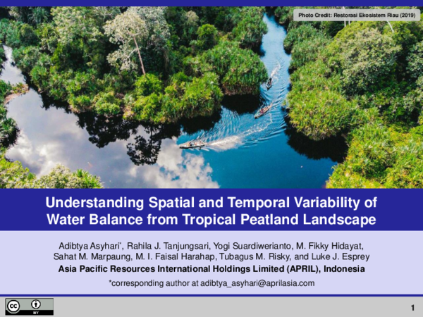 (PDF) Understanding Spatial and Temporal Variability of Water Balance ...