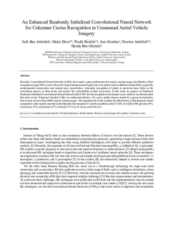 (PDF) An Enhanced Randomly Initialized Convolutional Neural Network for ...
