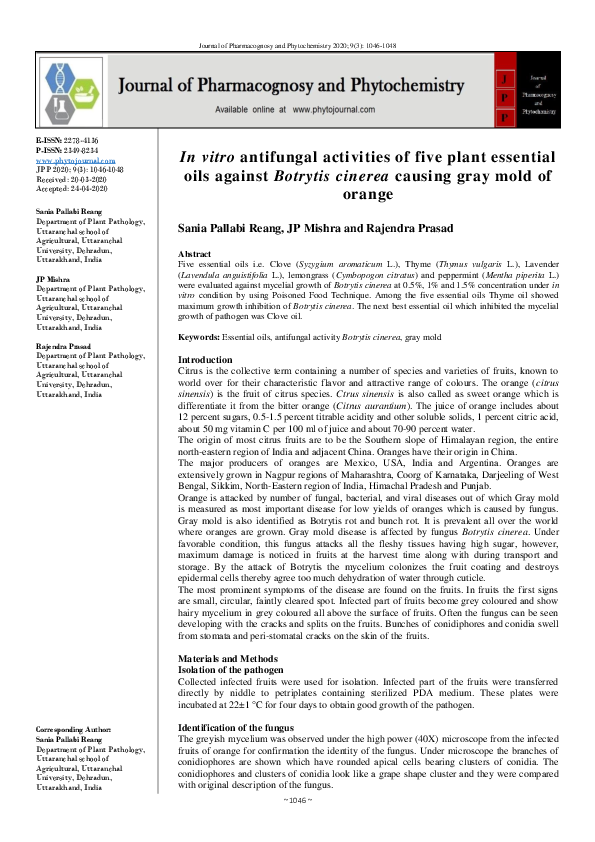 (PDF) In vitro antifungal activities of five plant essential oils ...