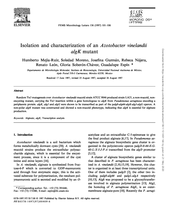 (PDF) Isolation and characterization of an Azotobacter vinelandii algK ...