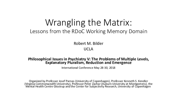 (PDF) Wrangling the Matrix: Lessons from the RDoC Working Memory Domain