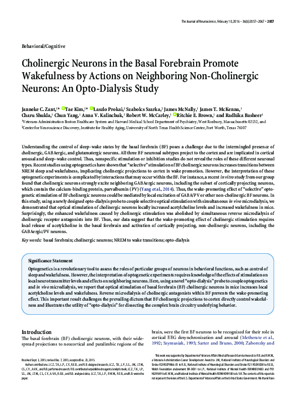 (PDF) Cholinergic Neurons in the Basal Forebrain Promote Wakefulness by ...
