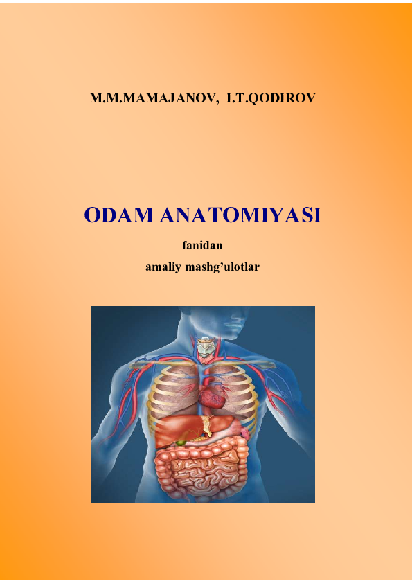 Rus qiz uyda dick soradi video