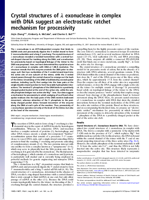 (PDF) Crystal structures of exonuclease in complex with DNA suggest an ...