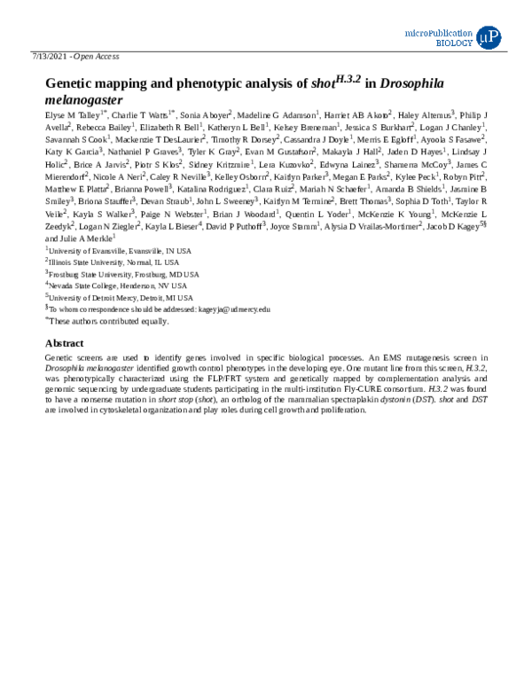 (PDF) Genetic mapping and phenotypic analysis of shotH.3.2 in ...