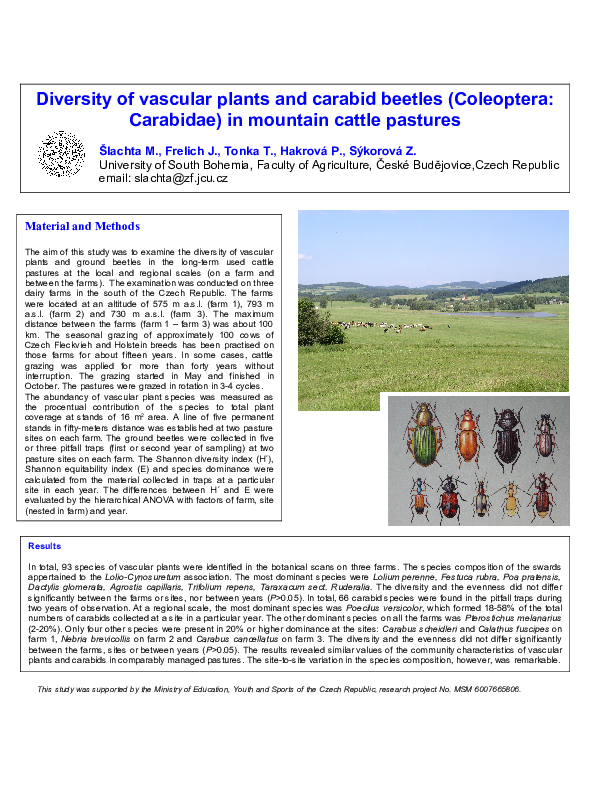 (PDF) Diversity of vascular plants and ground beetles (Coleoptera ...