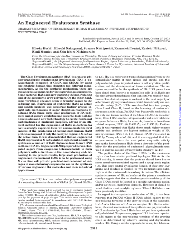 (PDF) An Engineered Hyaluronan Synthase: CHARACTERIZATION OF ...