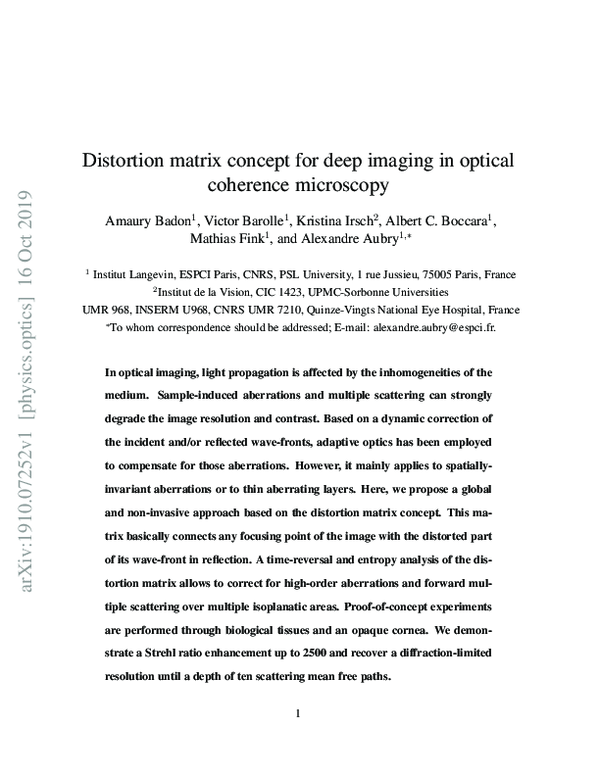 (PDF) Distortion matrix concept for deep imaging in optical coherence ...