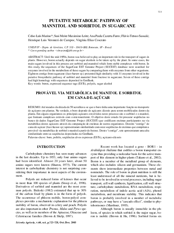 (PDF) Putative metabolic pathway of mannitol and sorbitol and in sugarcane
