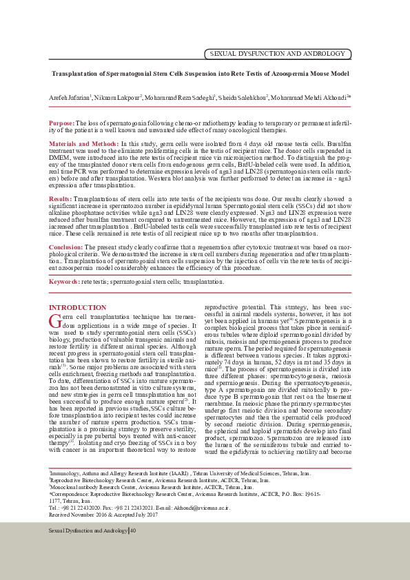 (PDF) Transplantation of Spermatogonial Stem Cells Suspension into Rete ...