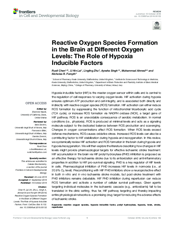 (PDF) Reactive Oxygen Species Formation in the Brain at Different ...