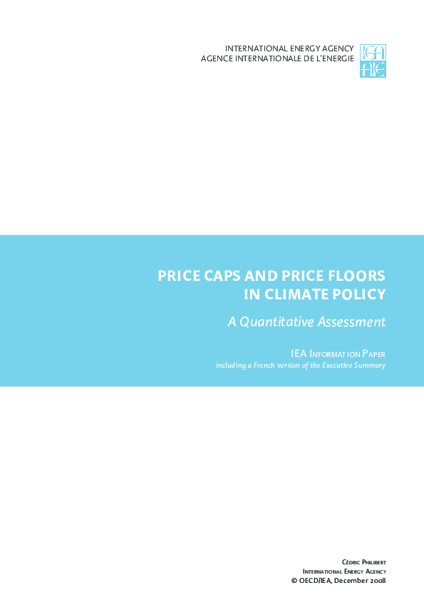(PDF) PRICE CAPS AND PRICE FLOORS IN CLIMATE POLICY A Quantitative ...