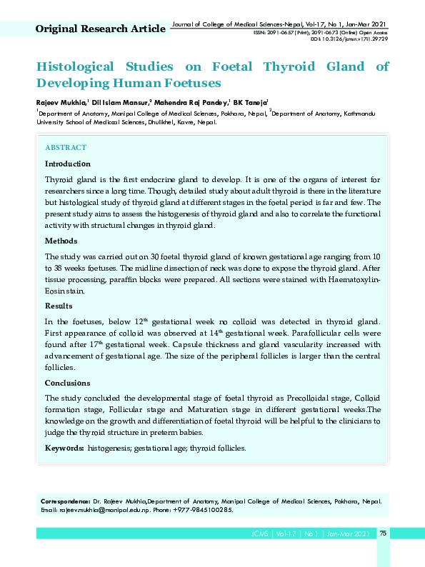(PDF) Histological Studies on Foetal Thyroid Gland of Developing Human ...