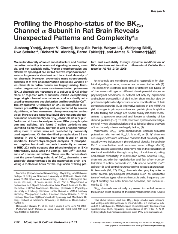 (PDF) Profiling the phospho-status of the BKCa channel α subunit in rat ...