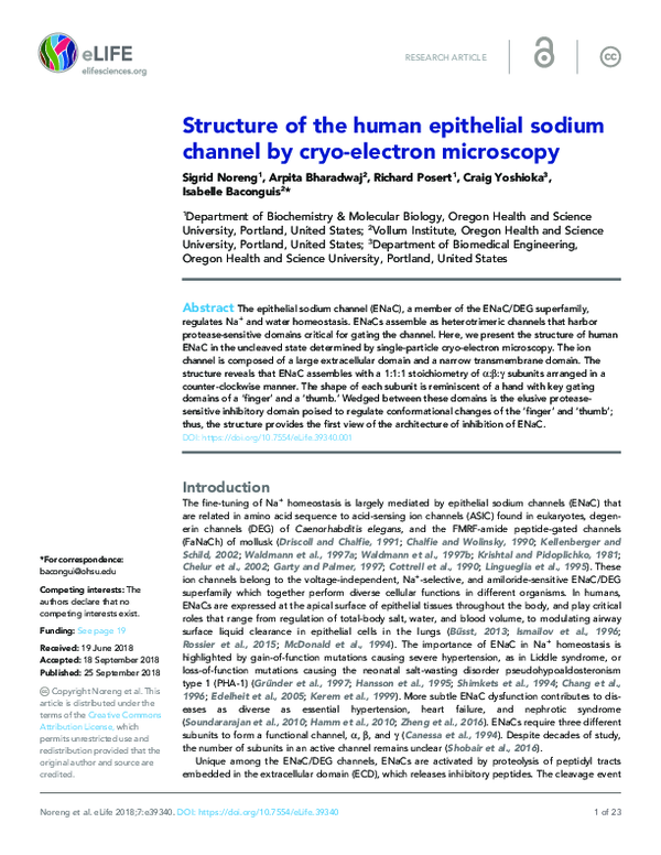 (PDF) Structure of the human epithelial sodium channel by cryo-electron ...