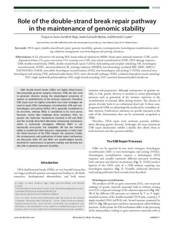 (PDF) Role of the double-strand break repair pathway in the maintenance ...