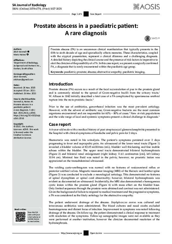 (PDF) Prostate abscess in a paediatric patient: A rare diagnosis