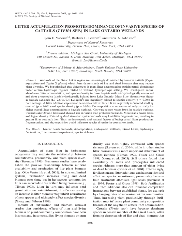 (PDF) Litter accumulation promotes dominance of invasive species of ...