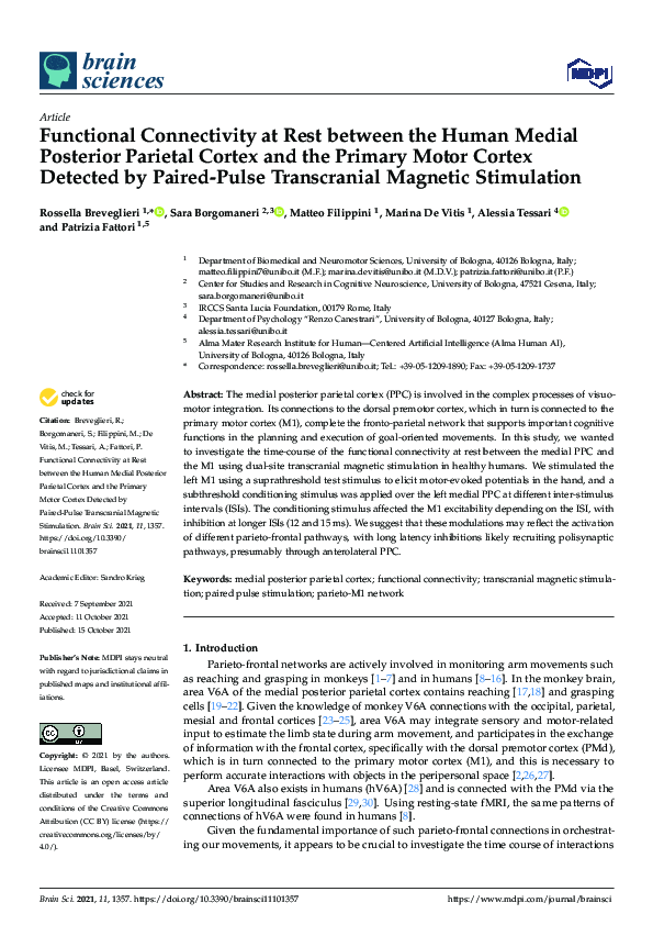 (PDF) Functional Connectivity at Rest between the Human Medial ...