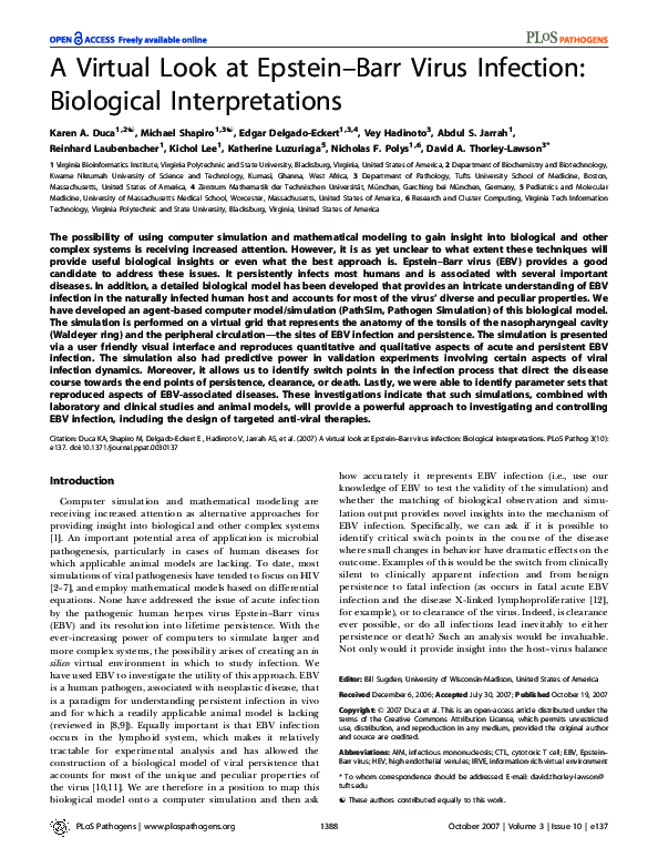 (PDF) A virtual look at Epstein Barr virus infection: biological ...