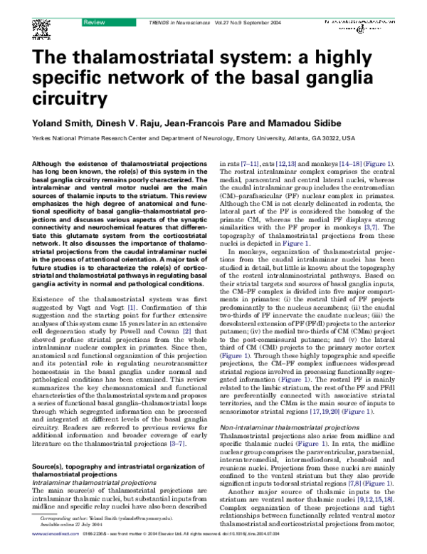 (PDF) The thalamostriatal system: a highly specific network of the ...