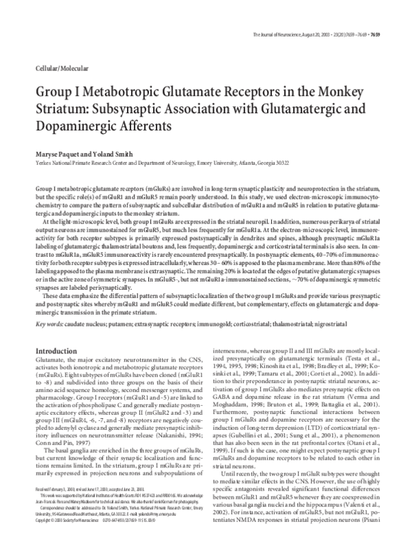 (PDF) Group I metabotropic glutamate receptors in the monkey striatum ...