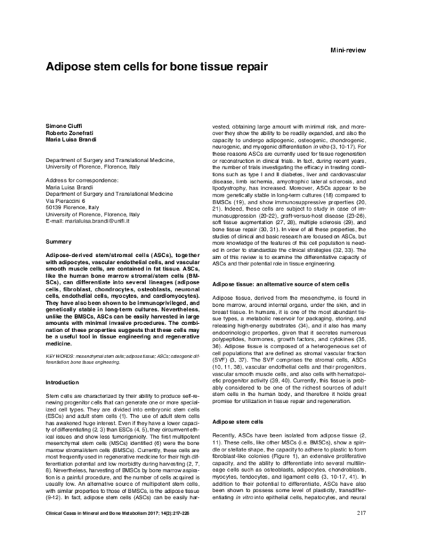 (PDF) Adipose stem cells for bone tissue repair